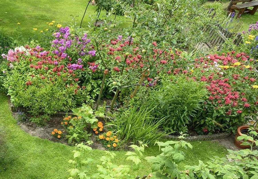 Ogród z kwiatami